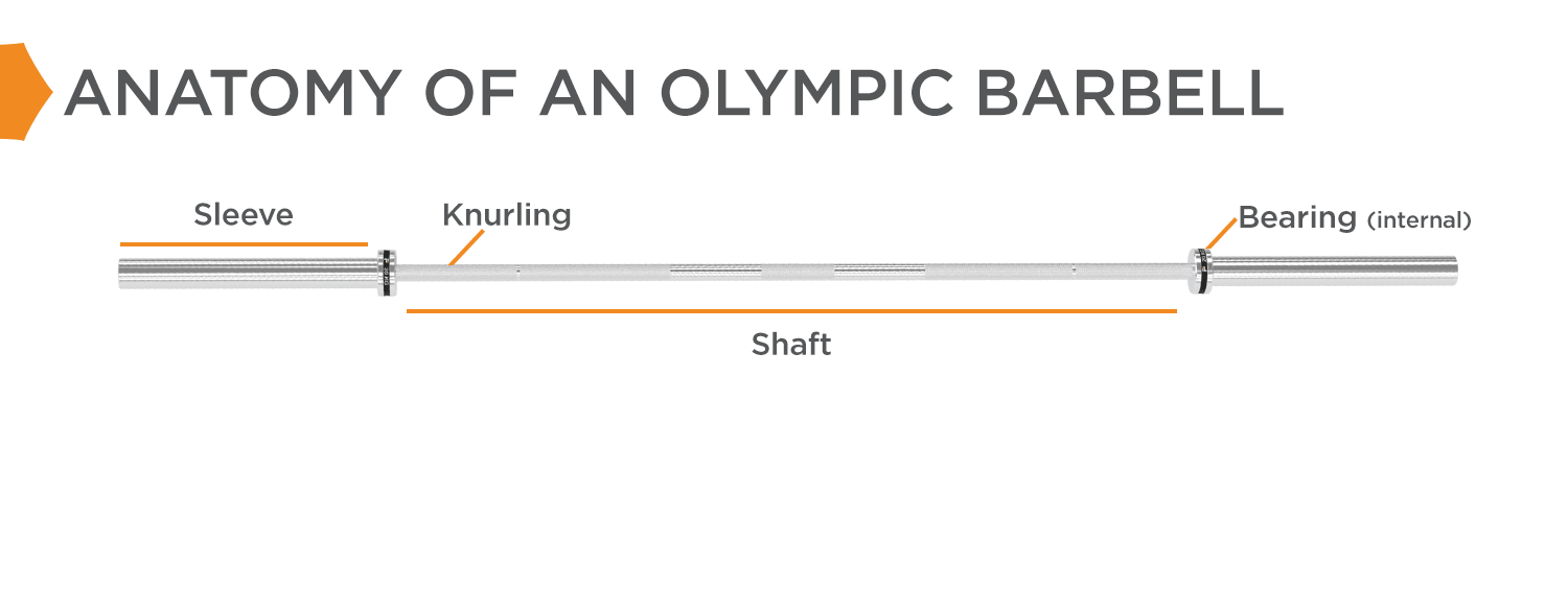 Anatomy of an Olympic Barbell