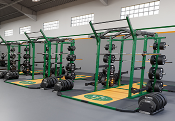 sierra strength room