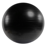 Versa Ball Stability Ball