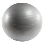 Versa Ball Stability Ball