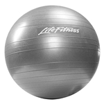 LifeFitness Stability Ball