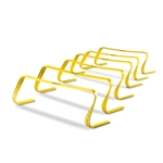 6X Hurdles