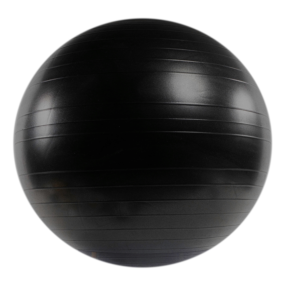 Cost of store stability ball