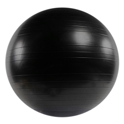 Versa Ball Stability Ball