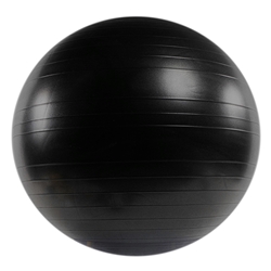 Versa Ball <strong>Stability</strong> Ball