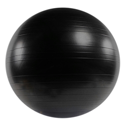 <strong>Versa</strong><strong>Ball</strong> PRO Stability <strong>Ball</strong>