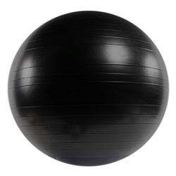 VersaBall PRO Stability Ball