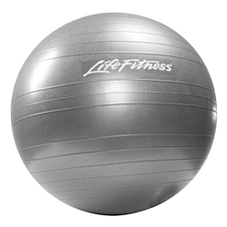 LifeFitness Stability Ball