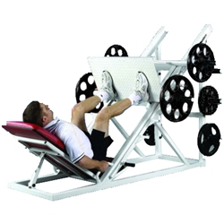 Pro Maxima FW-20 <strong>In</strong>verted Leg Press