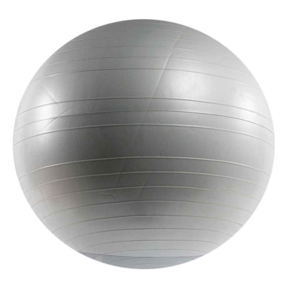 Versa Ball Stability Ball - 55 cm, Silver Frost