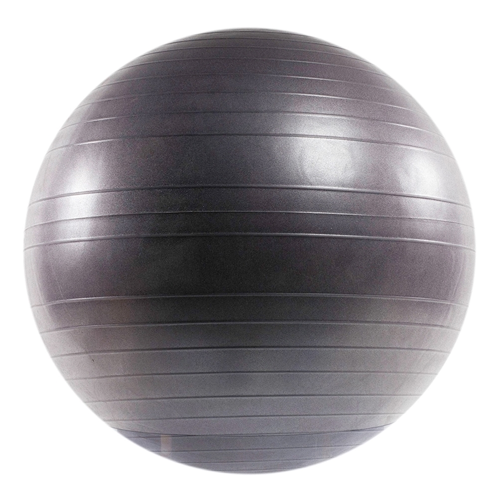 Versa Ball PRO Stability Ball - 55 cm, Purple Surf