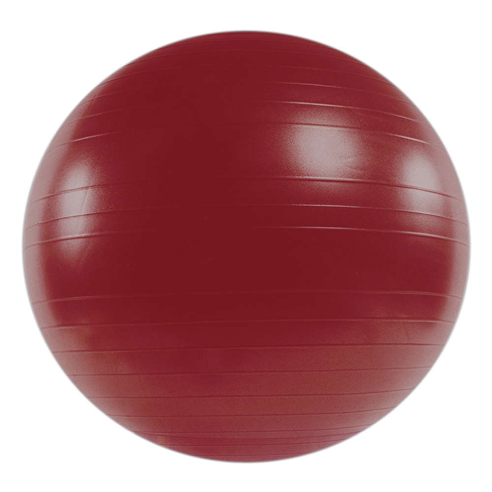 Versa Ball PRO Stability Ball - 55 cm, Calypso Berry