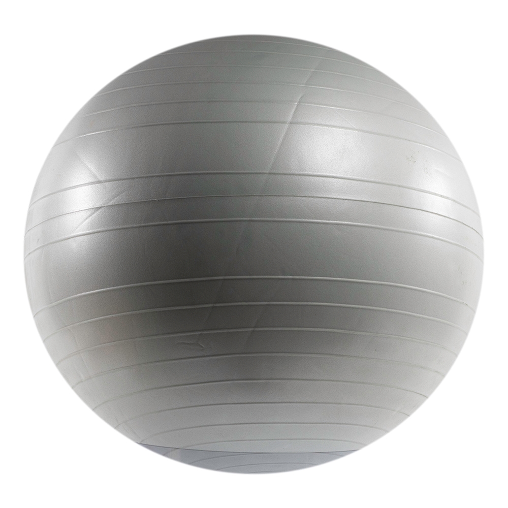 Versa Ball PRO Stability Ball - 75cm, Silver Frost